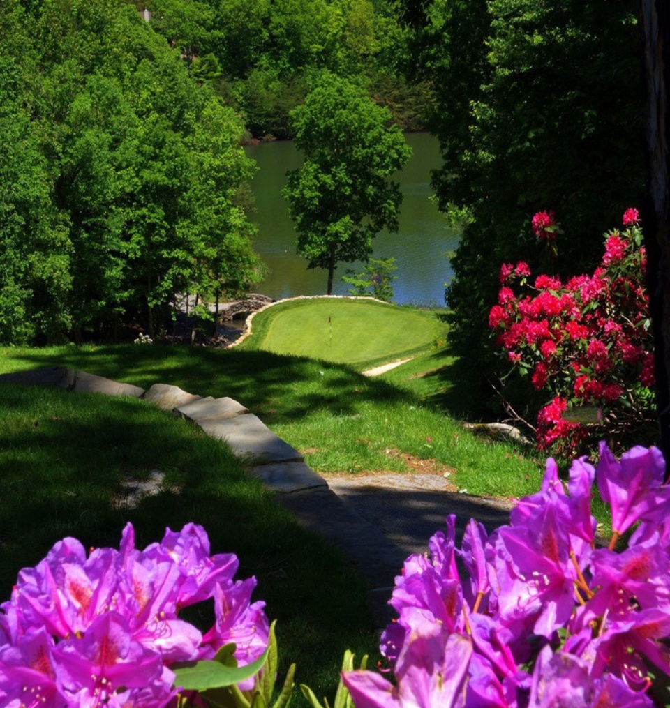 Championship Golf